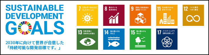 SDGs