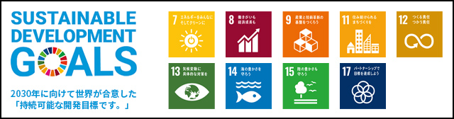 SDGs